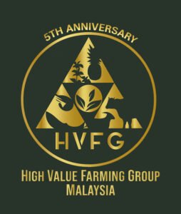 7. hvfg