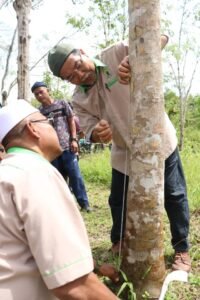 whatsapp image 2026 02 26 at 2.56.06 pm