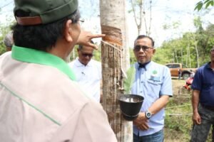 whatsapp image 2026 02 26 at 2.56.08 pm (1)