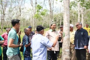 whatsapp image 2026 02 26 at 2.56.08 pm