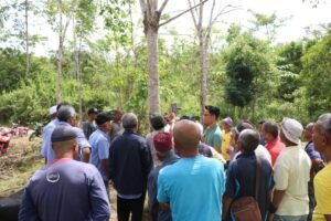 whatsapp image 2026 02 26 at 2.56.09 pm (1)