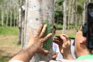 whatsapp image 2026 02 26 at 2.56.09 pm