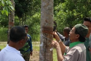 whatsapp image 2026 02 26 at 2.56.10 pm (1)