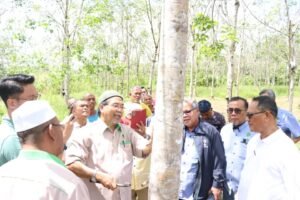 whatsapp image 2026 02 26 at 2.56.10 pm