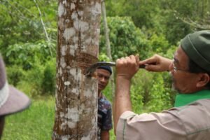 whatsapp image 2026 02 26 at 2.56.12 pm (2)